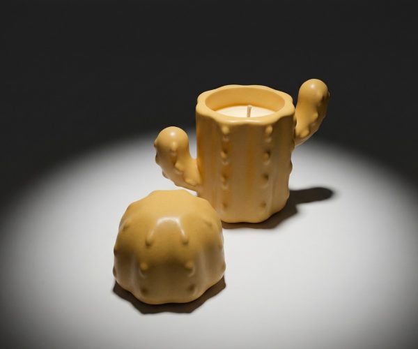 Świeca Sojowa Kaktus w ręcznie wykonanym limitowanym opakowaniu