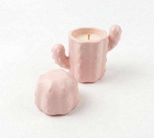 Świeca Sojowa Kaktus w ręcznie wykonanym limitowanym opakowaniu